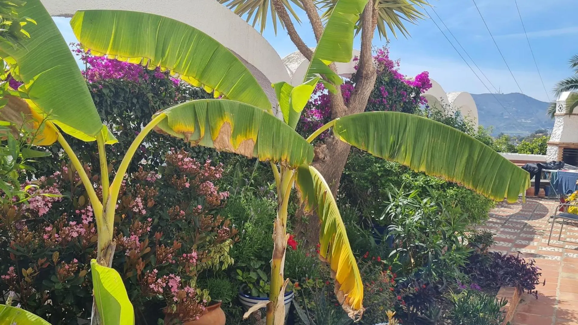 Casa Jazmin Apartment Nerja Spain